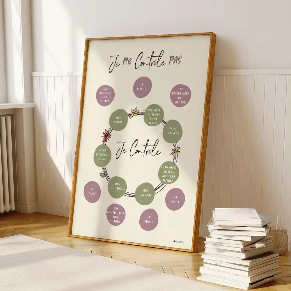 Dessin de sphères au centre contenant des chose que l'on peut contrôler et d'autre à l'extérieur non contrôlables