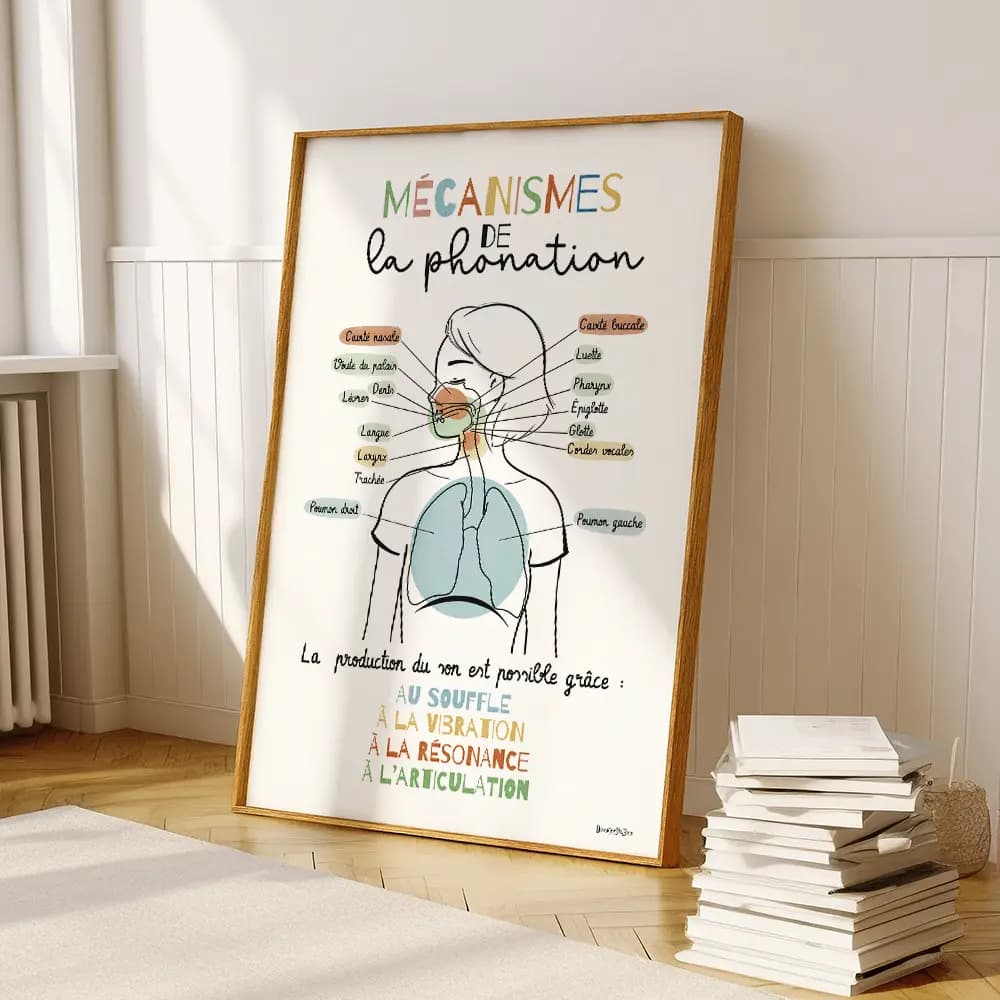 Dessin d'un schéma avec légendes des mécanismes de la phonation partant des poumons et remontant par le larynx jusqu'aux lèvres