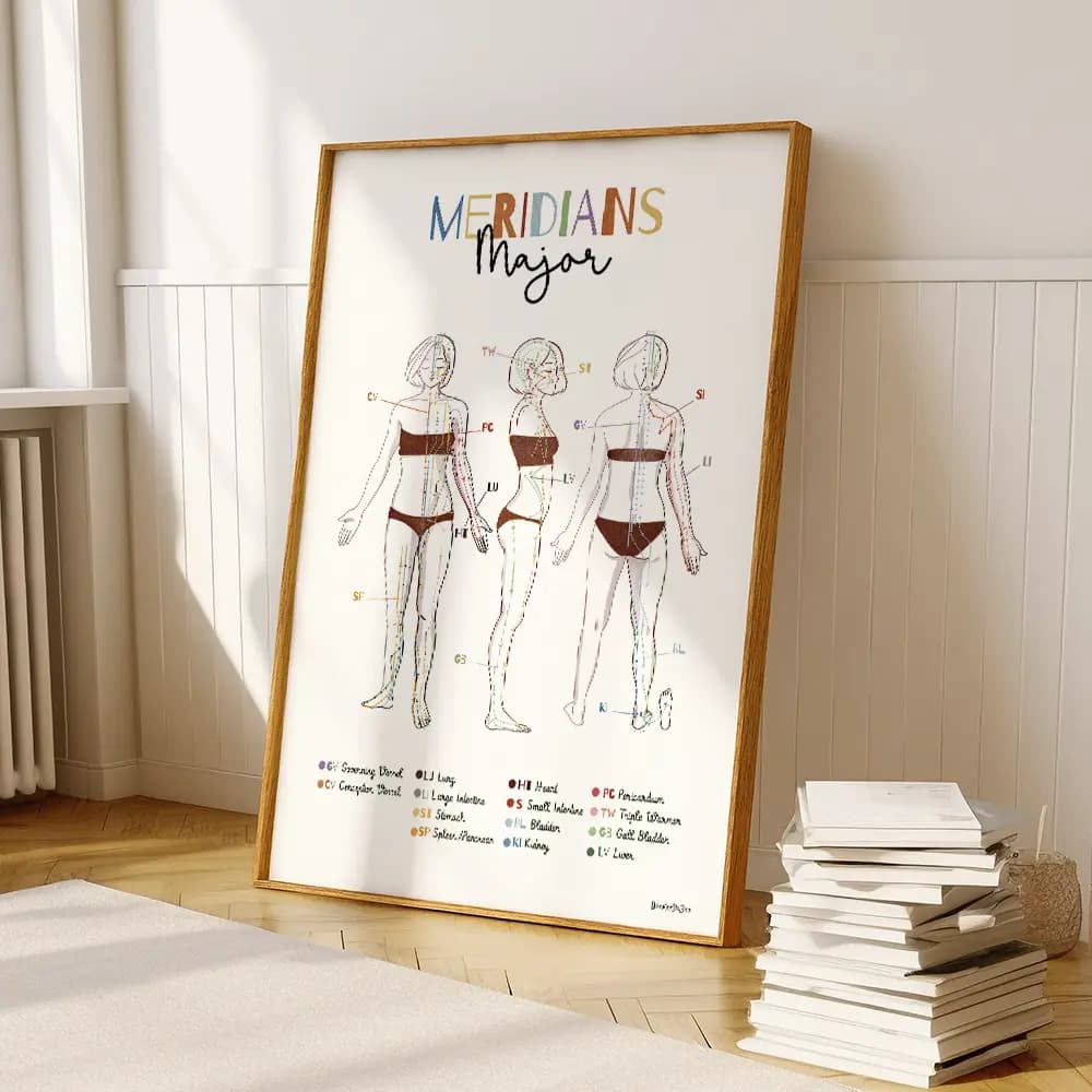 Dessin d'une femme vue de face, profil et dos avec les lignes et points des principaux méridiens en anglais