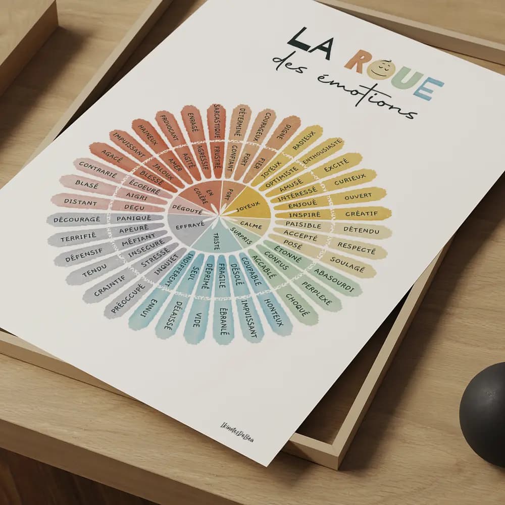 Roue des émotions en dégradé de couleurs avec des sentiments allant de la colère et peur à la joie, calme et surprise.