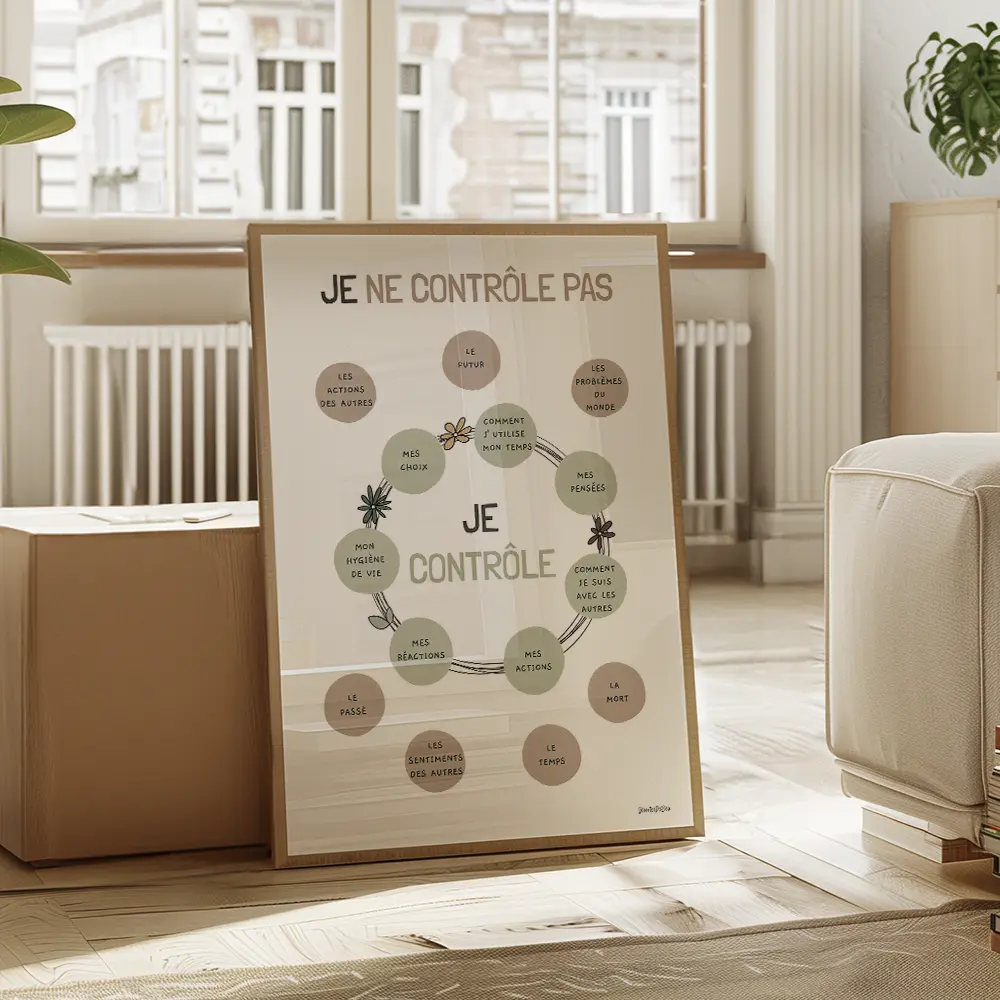 Dessin de sphères au centre contenant des chose que l'on peut contrôler et d'autre à l'extérieur non contrôlables