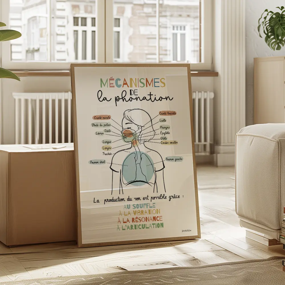 Dessin d'un schéma avec légendes des mécanismes de la phonation partant des poumons et remontant par le larynx jusqu'aux lèvres