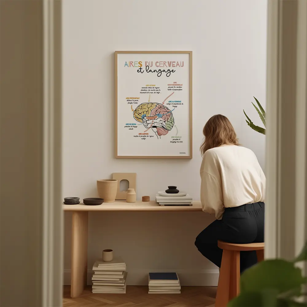 Dessin schema d'un cerveau avec en légende chaque zone et leurs fonctions en lien avec le langage