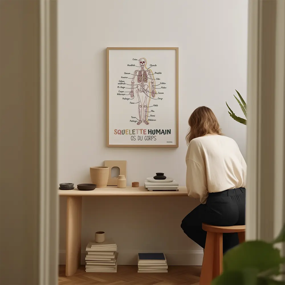 Dessin d'un squelette humain avec en légendes les noms des os