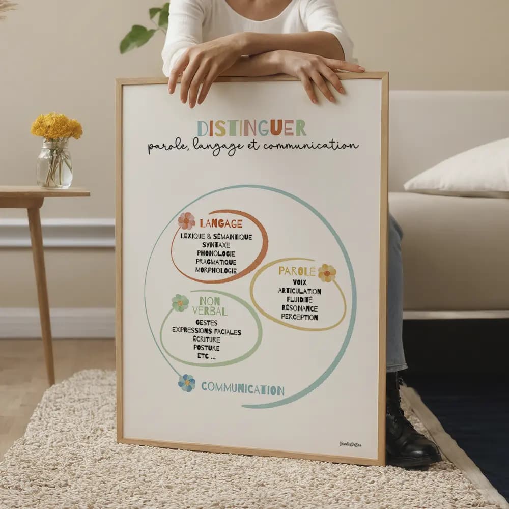 Schéma de la communication divisé en trois aspects : Langage, Parole, et Non-verbal