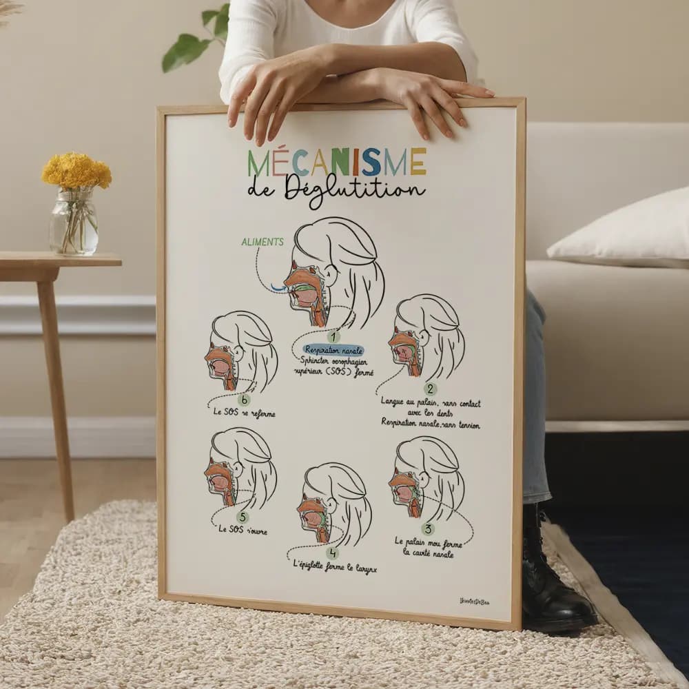 Six dessins vus en coupe avec légendes des différentes étapes de la déglutition.