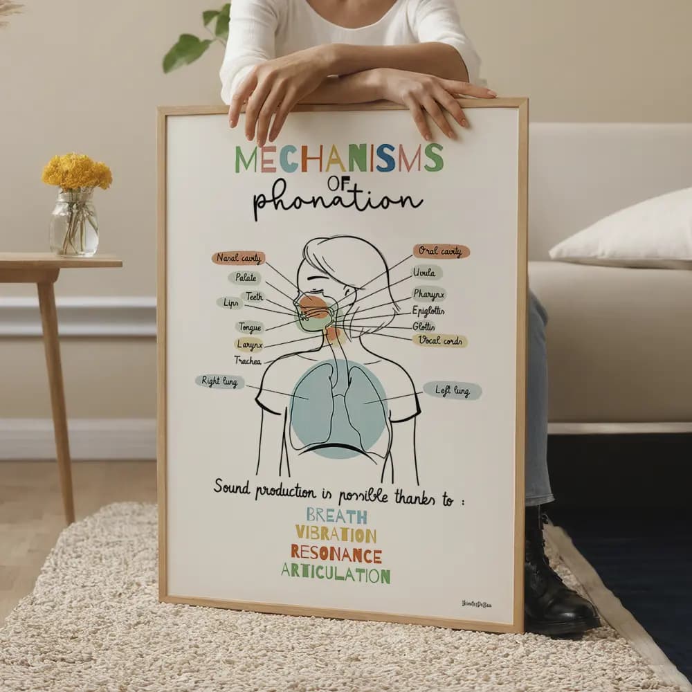 Dessin d'un schéma avec légendes des mécanismes de la phonation partant des poumons et remontant par le larynx jusqu'aux lèvres