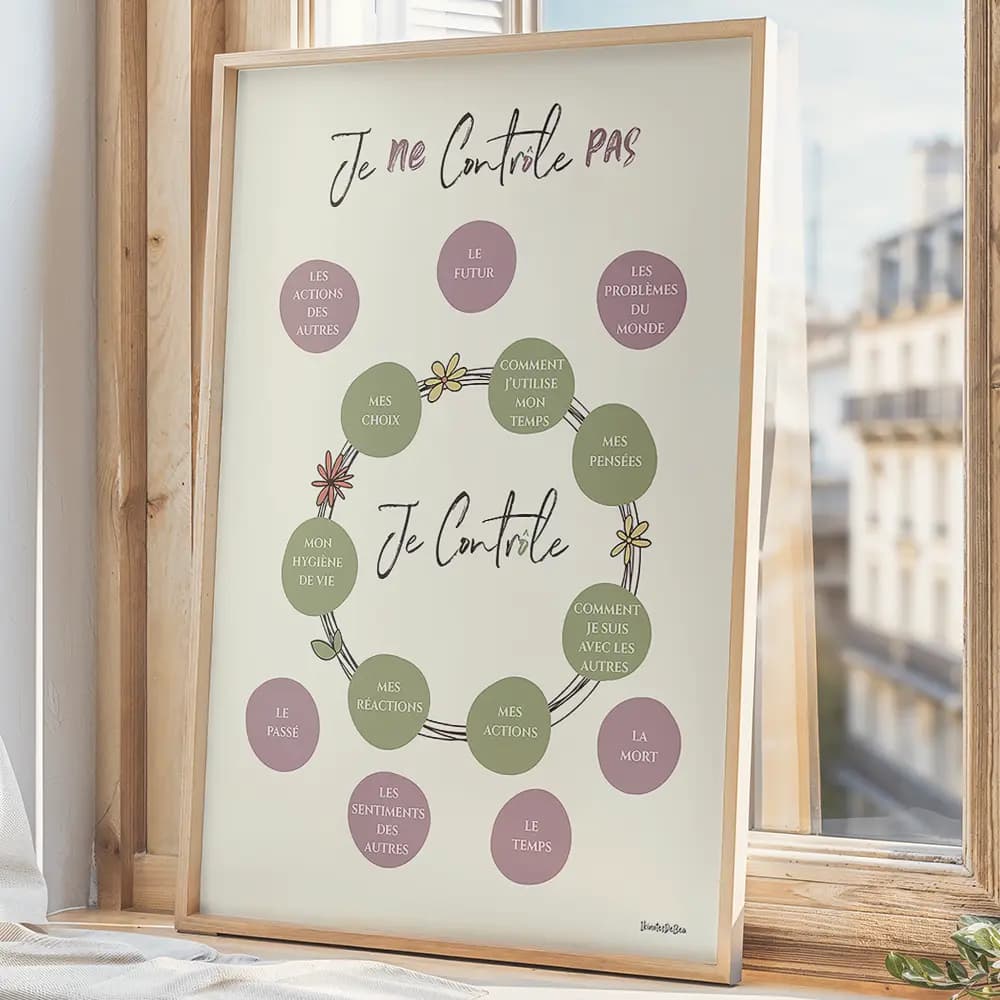 Dessin de sphères au centre contenant des chose que l'on peut contrôler et d'autre à l'extérieur non contrôlables