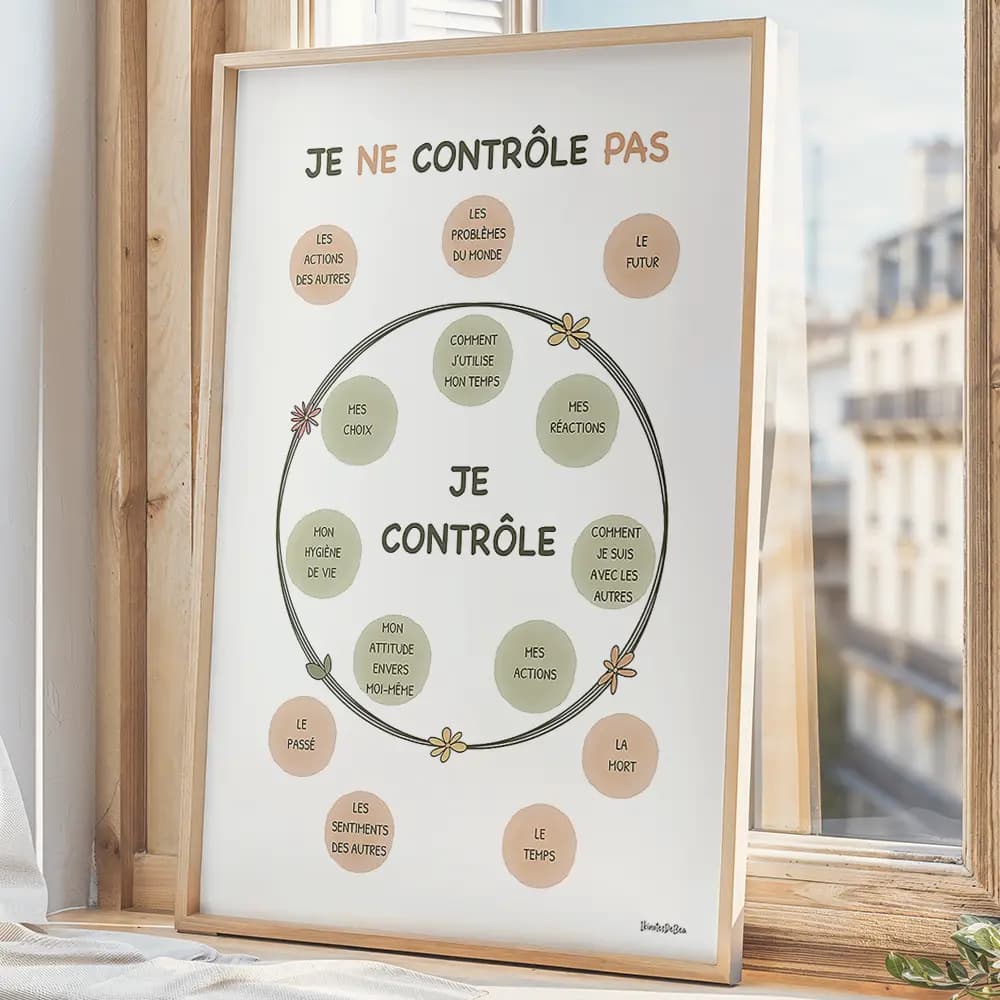 Dessin de sphères au centre contenant des chose que l'on peut contrôler et d'autre à l'extérieur non contrôlables