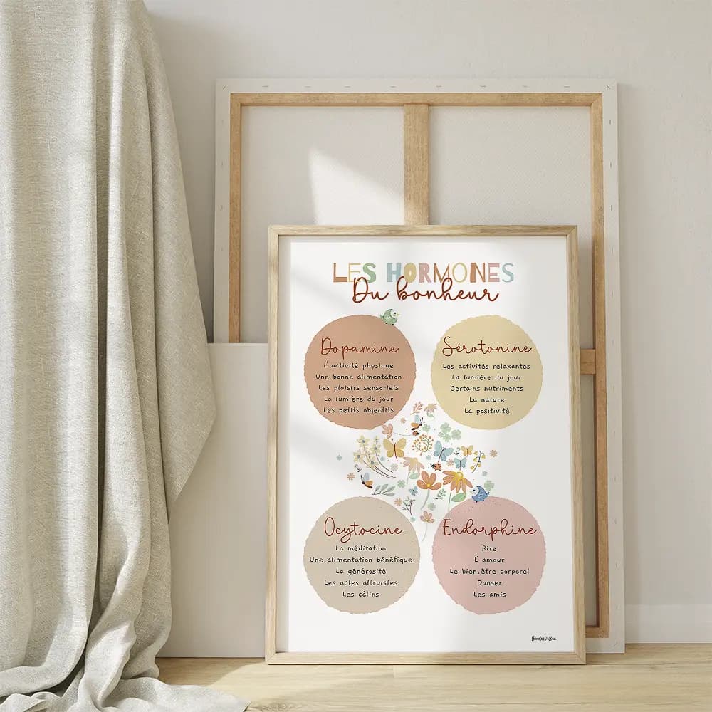 Dessin en couleurs d'oiseaux, fleurs et plantes entouré de 4 cercles d'informations sur les hormones du bonheur