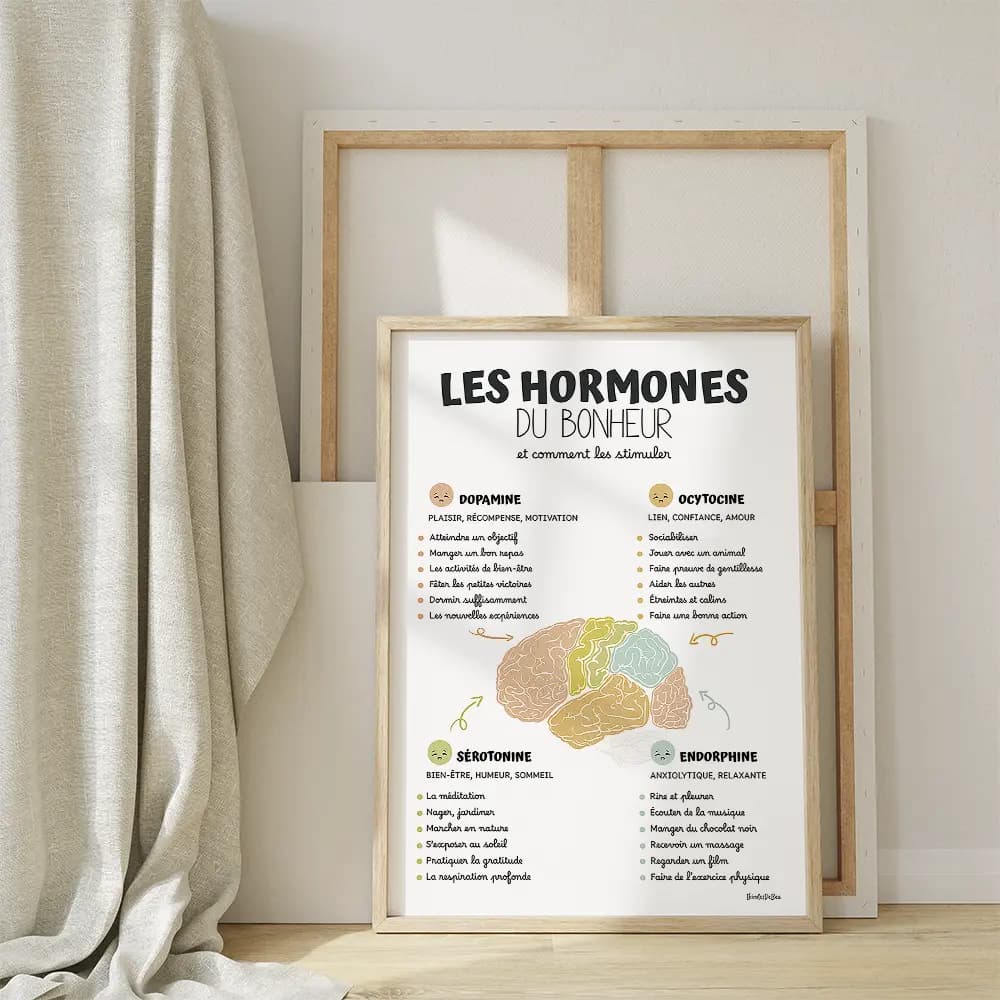 Dessin en couleurs aquarelle d'un cerveau au centre entouré d'informations sur les hormones du bonheur