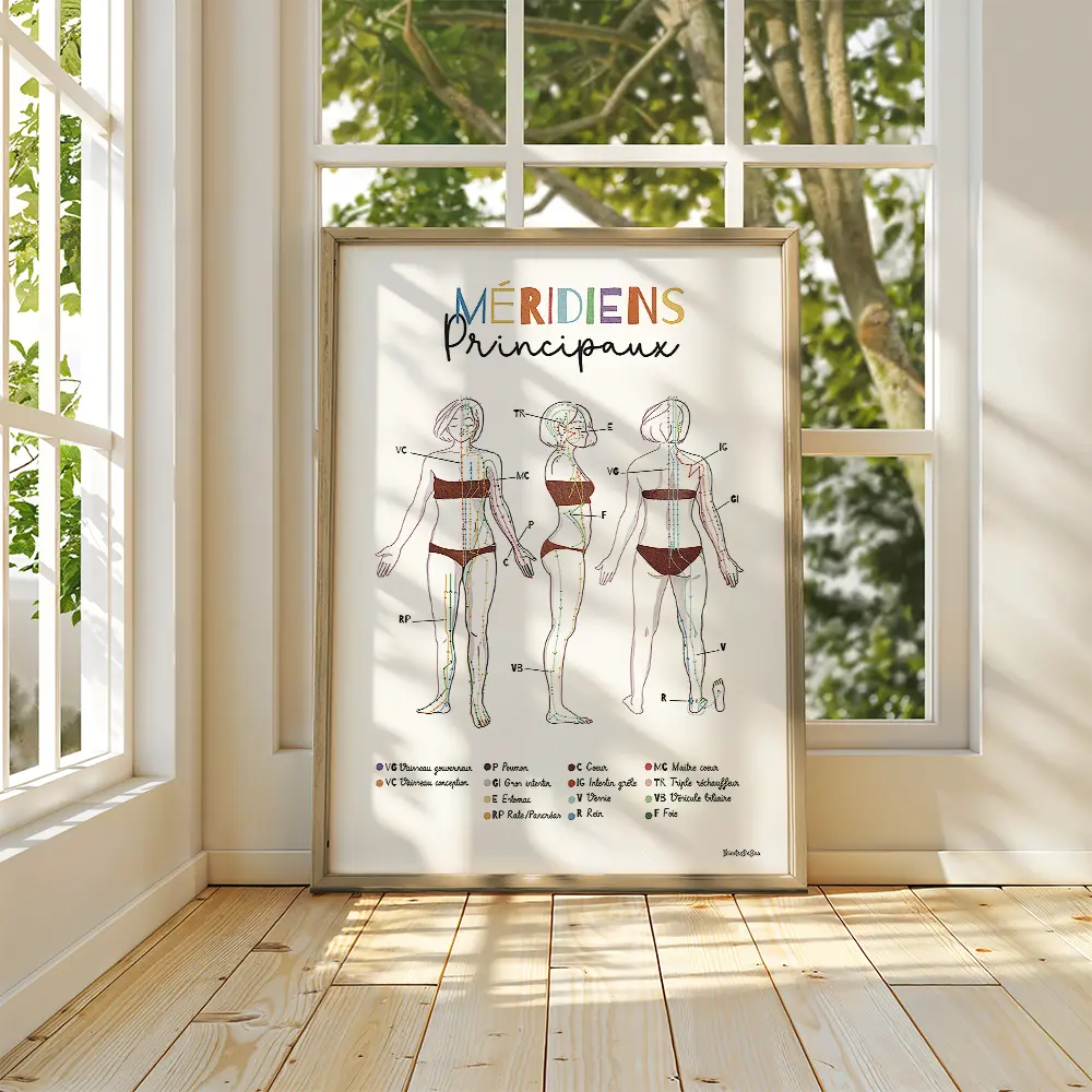 Dessin d'une femme vue de face, profil et dos avec les lignes et points des principaux méridiens