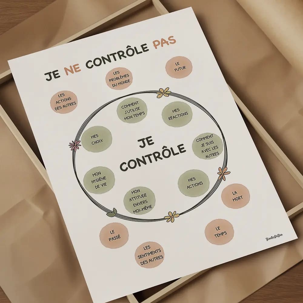 Dessin de sphères au centre contenant des chose que l'on peut contrôler et d'autre à l'extérieur non contrôlables