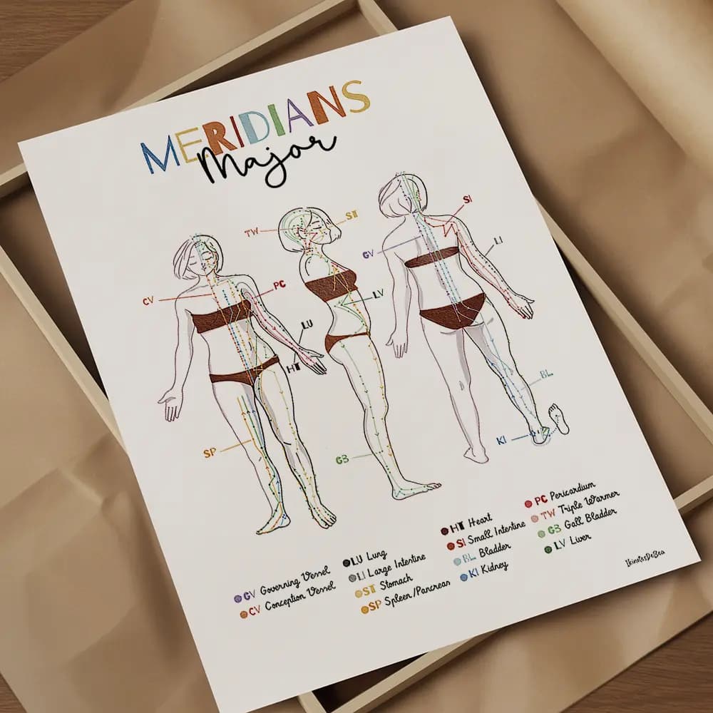 Dessin d'une femme vue de face, profil et dos avec les lignes et points des principaux méridiens en anglais