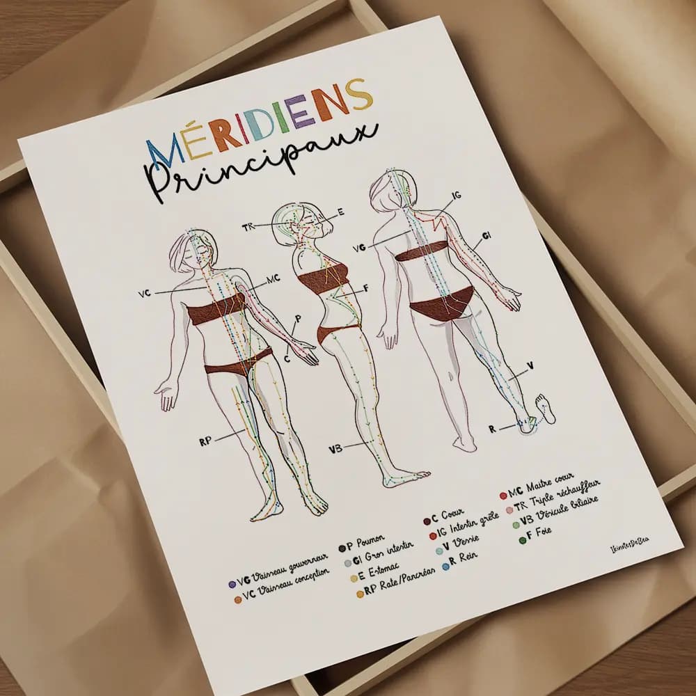 Dessin d'une femme vue de face, profil et dos avec les lignes et points des principaux méridiens