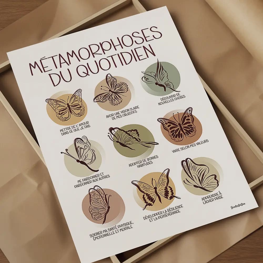 dessin de six cercles contenant un papillon