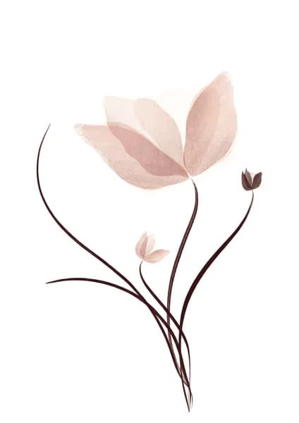 Fleur rose aquarelle