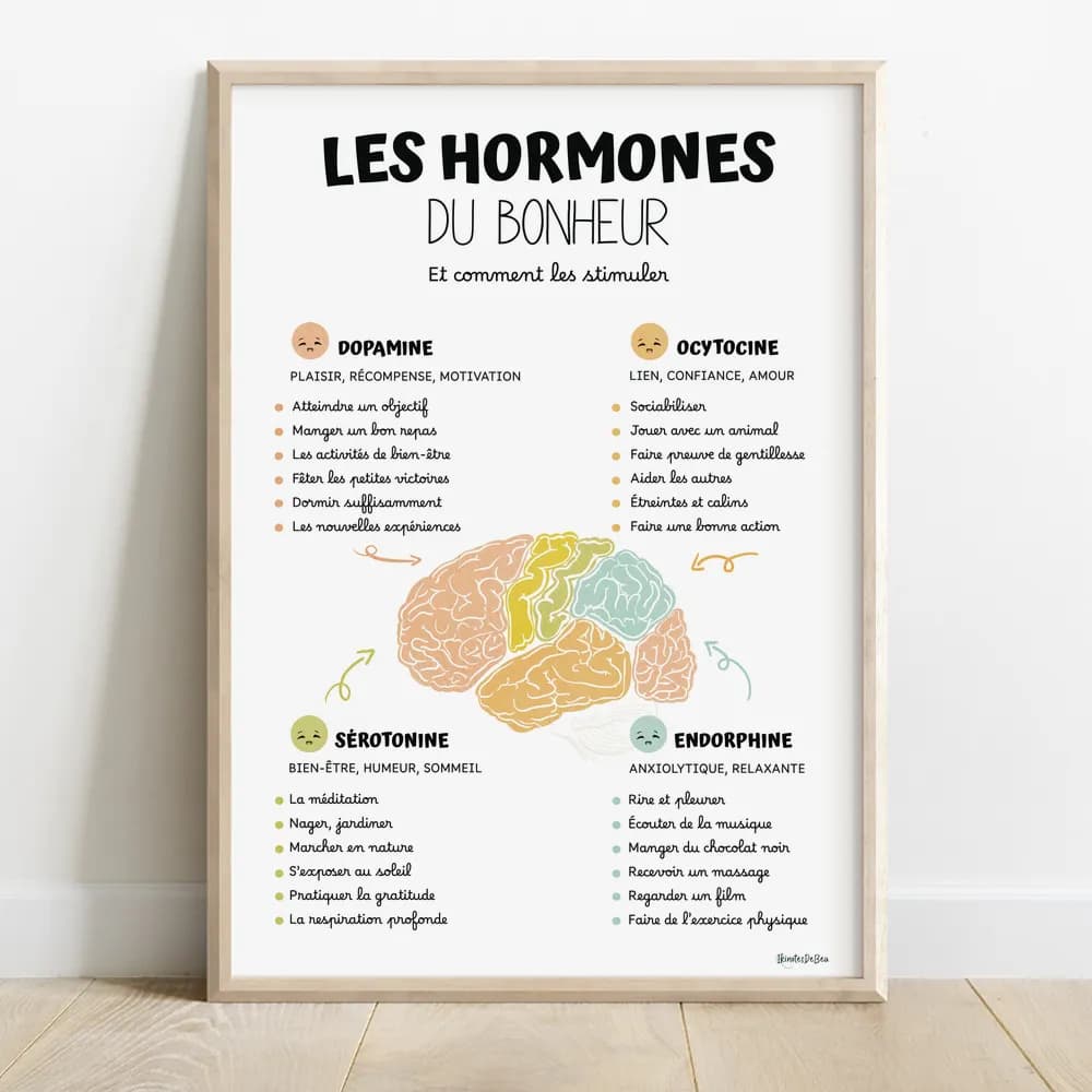 Dessin en couleurs aquarelle d'un cerveau au centre entouré d'informations sur les hormones du bonheur