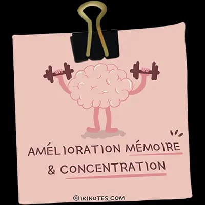 Amélioration de la memoire et de la concentration Dessin d'un cerveau qui soulève des haltères sur un post-it rose tenu par une pince