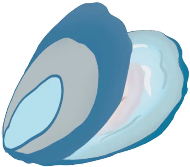 Les huîtres Dessin bleu d'une huître entrouverte