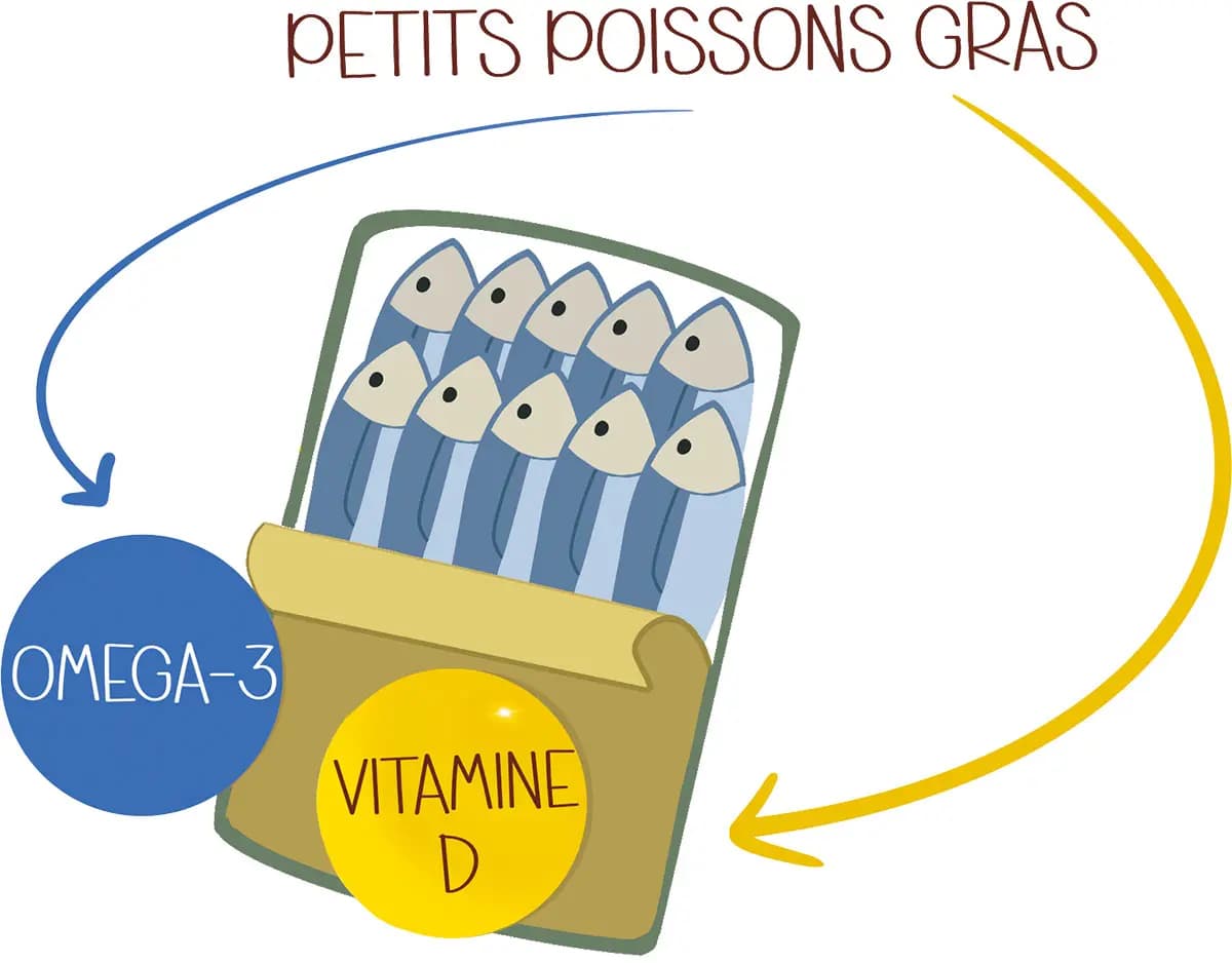 Les poissons gras Dessin d'une boite de sardine ouverte remplie de petits poissons gras