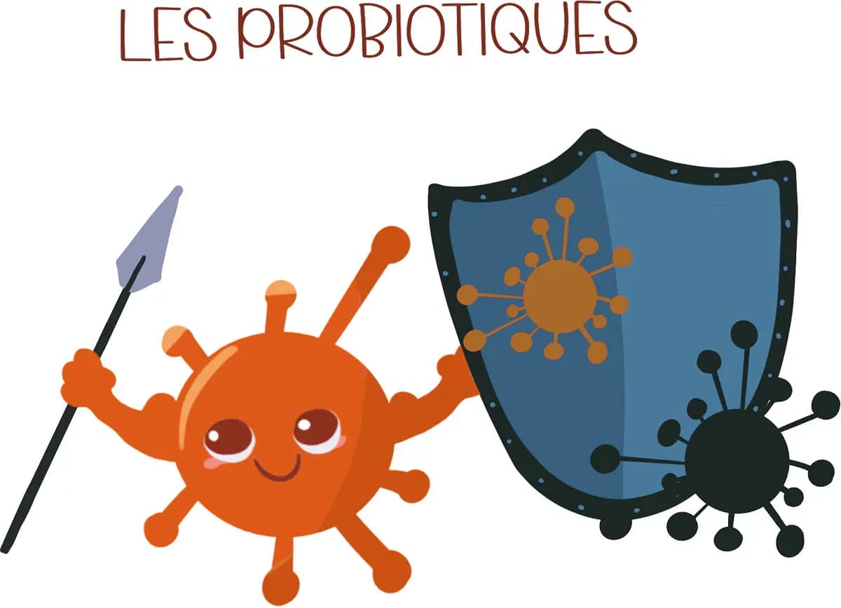 Les probiotiques Dessin rigolo d'une bonne bactérie sous forme de personnage qui tient un bouclier et une lance en guise de protection de l'organisme