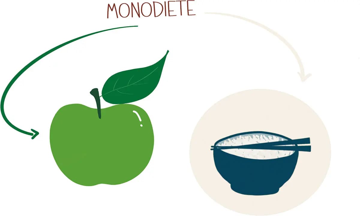 Monodiete Dessin d'un bol de riz et d'une pomme pour représenter les ingrédients utiles en cas de monodiète