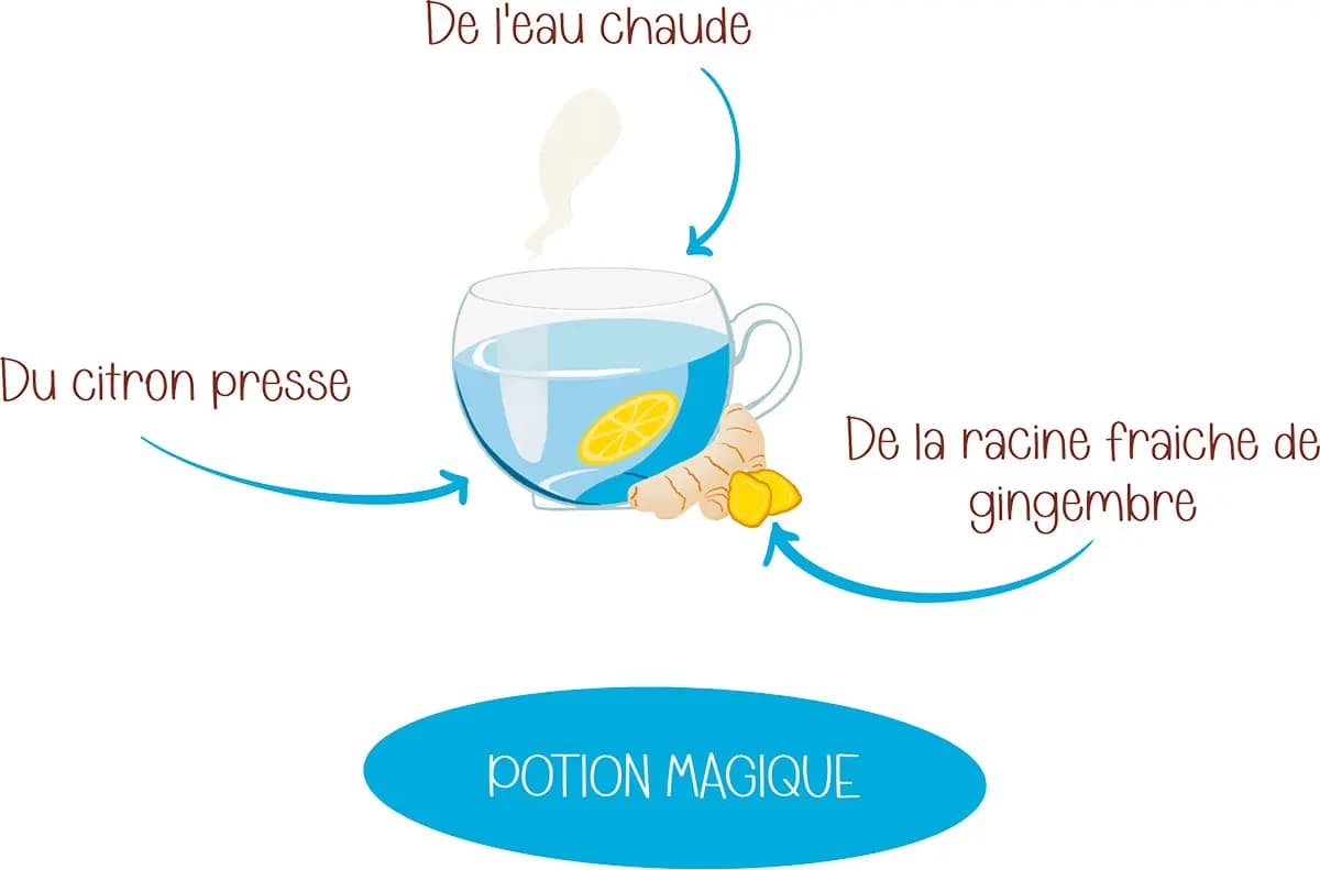 Potion magique citron gingembre Illustration d'une tasse d'eau chaude avec du citron et de la racine fraiche de gingembre