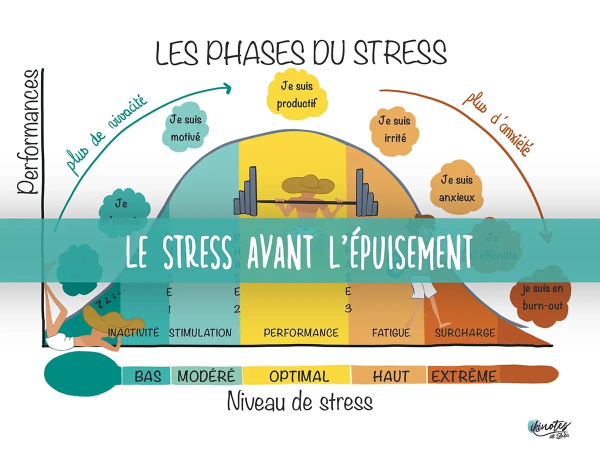Phases du stress avant l'épuisement Infographie montrant la courbe des différentes phases du stress et son impact sur la performance jusqu'au burn out
