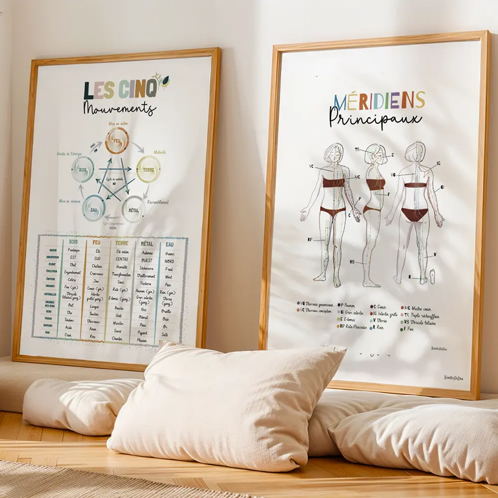 Acupuncteur Deux grandes affiches encadrées au mur d'un cabinet d'acupuncteur