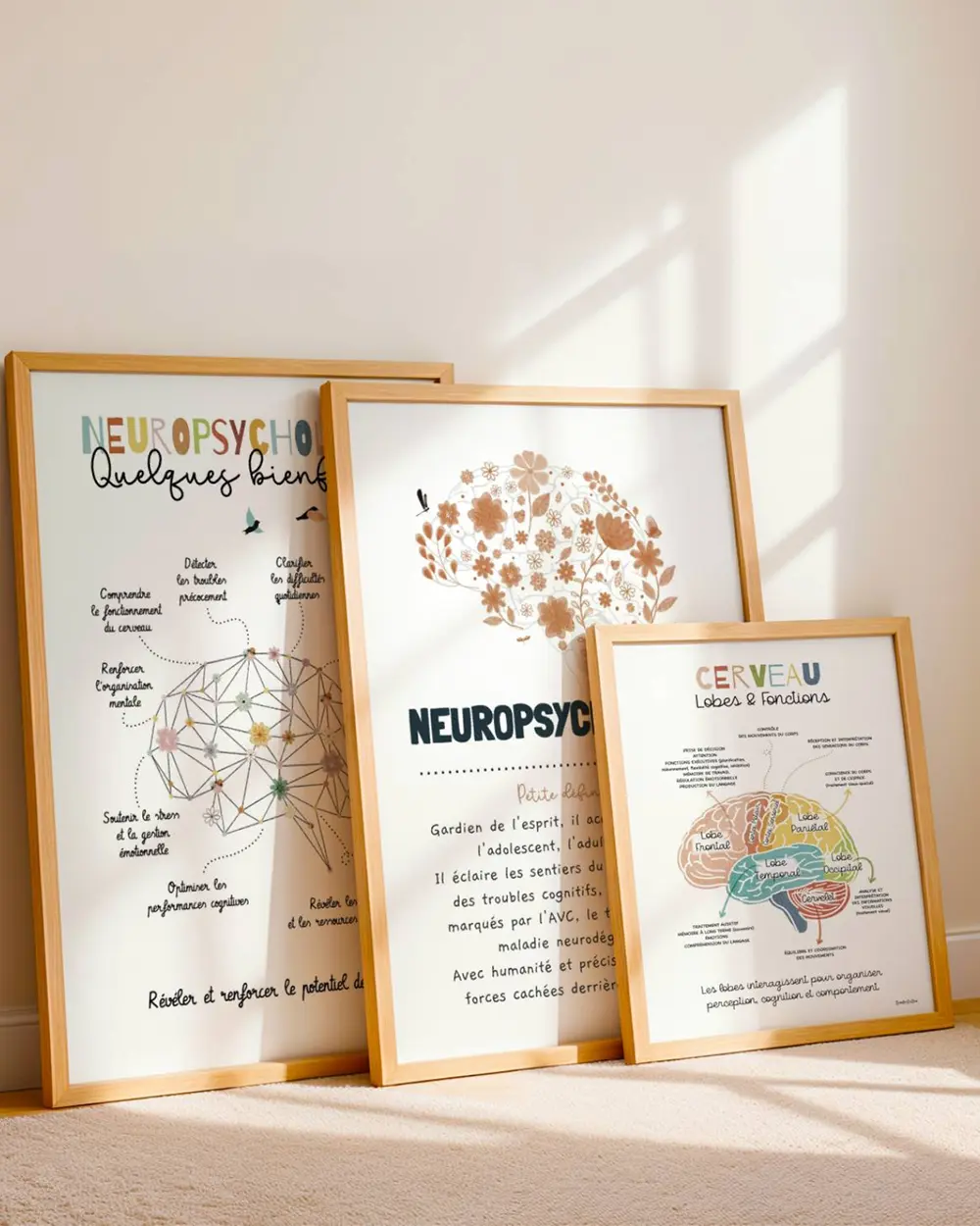 Neuropsychologue Trois cadres posés contre un mur contenant des affiches de neuropsychologue