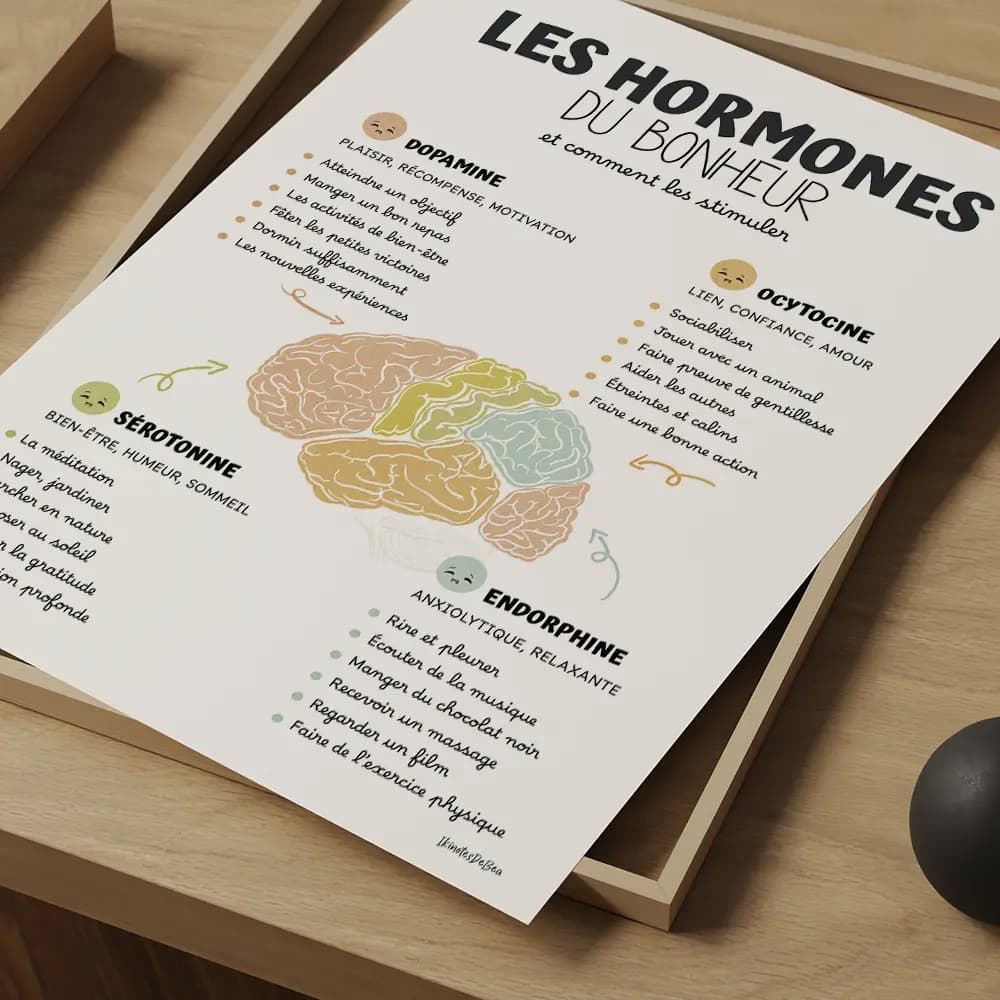 Dessin en couleurs aquarelle d'un cerveau au centre entouré d'informations sur les hormones du bonheur