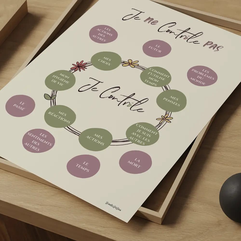 Dessin de sphères au centre contenant des chose que l'on peut contrôler et d'autre à l'extérieur non contrôlables