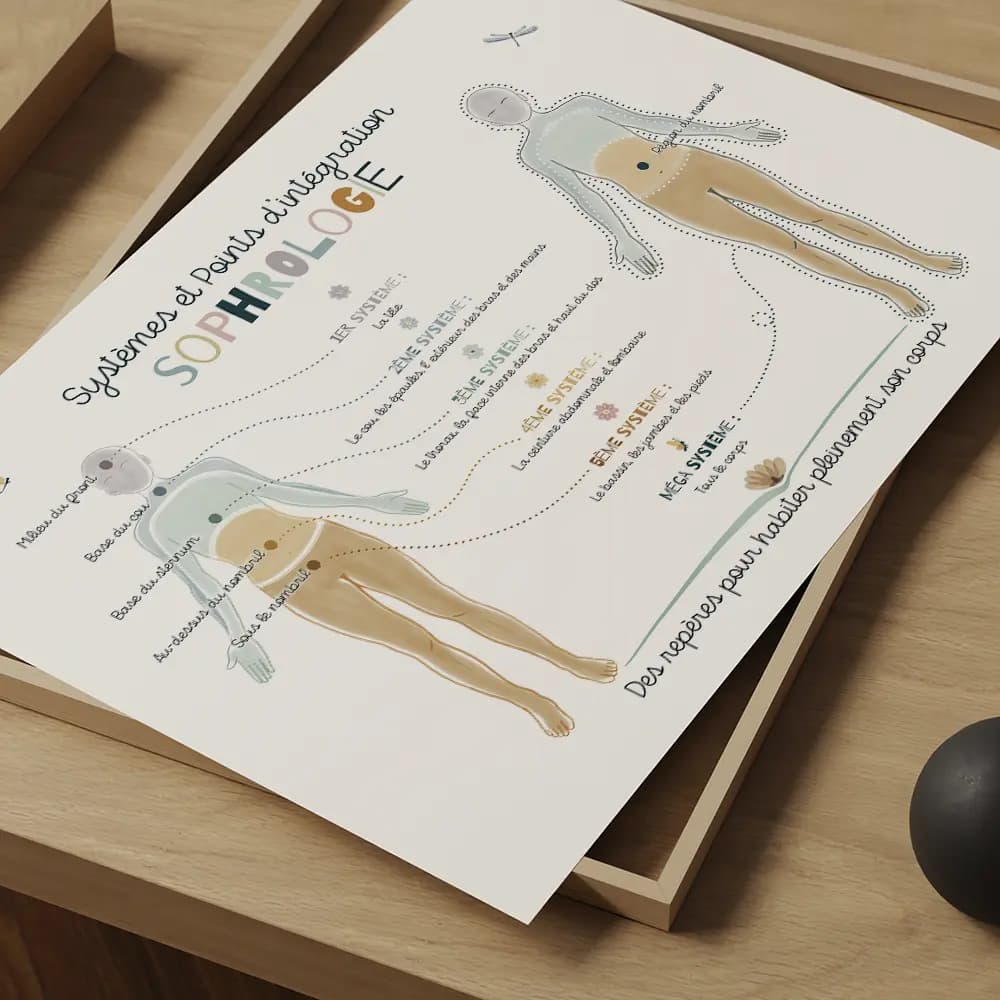Illustration horizontale avec un personnage central entouré des différents systèmes et points d’intégration en sophrologie.