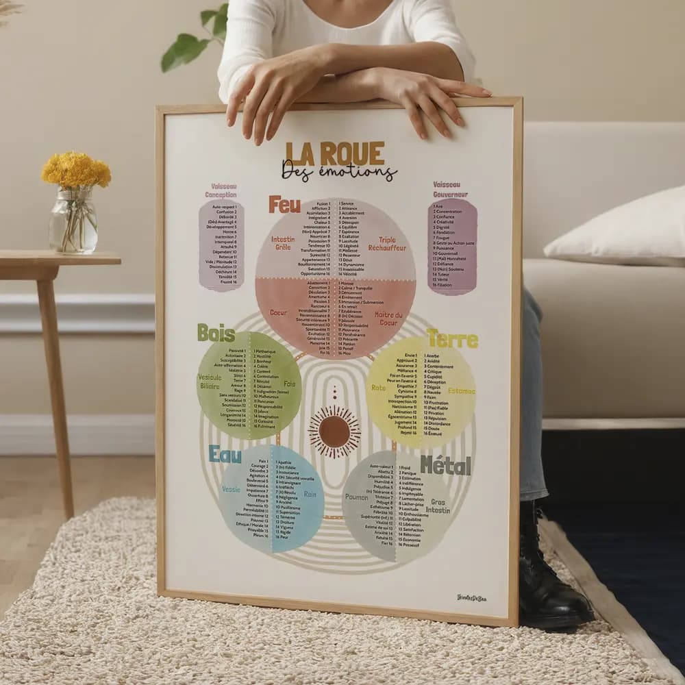 La roue des émotions kinésiologue V2 Cinq roues des émotions multicolores, chacune inspirée d’un élément : feu, terre, eau, métal et bois.