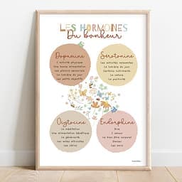 Les hormones du bonheur Dessin en couleurs d'oiseaux, fleurs et plantes entouré de 4 cercles d'informations sur les hormones du bonheur