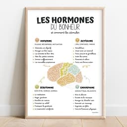 Les hormones du bonheur Dessin en couleurs aquarelle d'un cerveau au centre entouré d'informations sur les hormones du bonheur