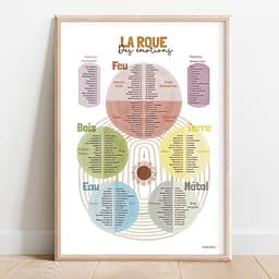 La roue des émotions kinésiologue V2 Cinq roues des émotions multicolores, chacune inspirée d’un élément : feu, terre, eau, métal et bois.