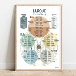 La roue des émotions kinésiologue Cinq roues des émotions multicolores, chacune inspirée d’un élément : feu, terre, eau, métal et bois.