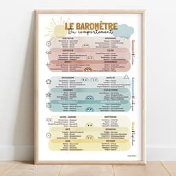 Le baromètre du comportement V2 Baromètre du comportement multicolore intégrant les émotions, structuré en trois zones : conscient, subconscient et corps.