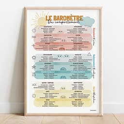 Le baromètre du comportement V2 Baromètre du comportement multicolore intégrant les émotions, structuré en trois zones : conscient, subconscient et corps.