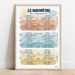 Le baromètre du comportement Baromètre du comportement multicolore intégrant les émotions, structuré en trois zones : conscient, subconscient et corps.