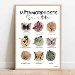 Métamorphoses du quotidien Dessin de 6 cercles de couleur contenant un papillon
