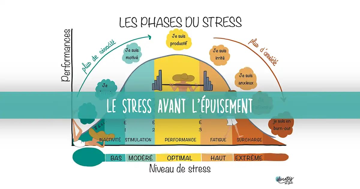 Phases du stress avant l'épuisement Infographie montrant la courbe des différentes phases du stress et son impact sur la performance jusqu'au burn out