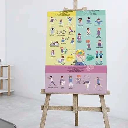 Affiche des ancrages de Kinésiologie Photo d'une affiche des ancrages de Kinésiologie posée sur un chevalet